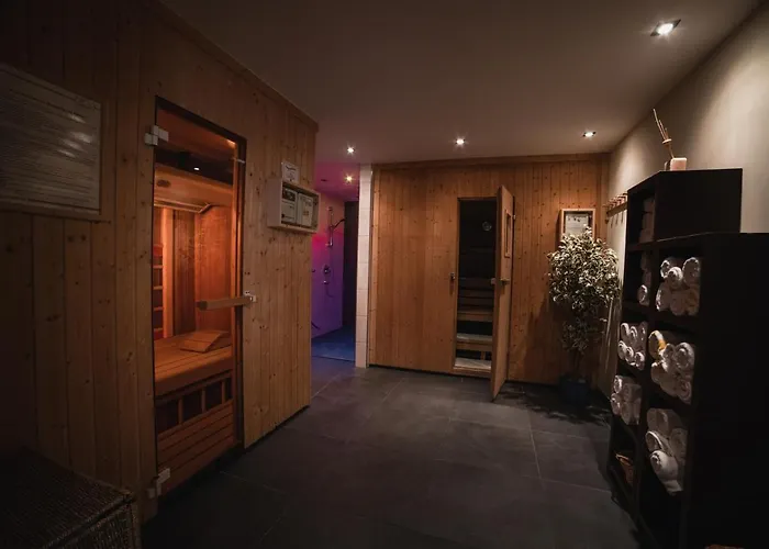 Neumayr ホテル 3*